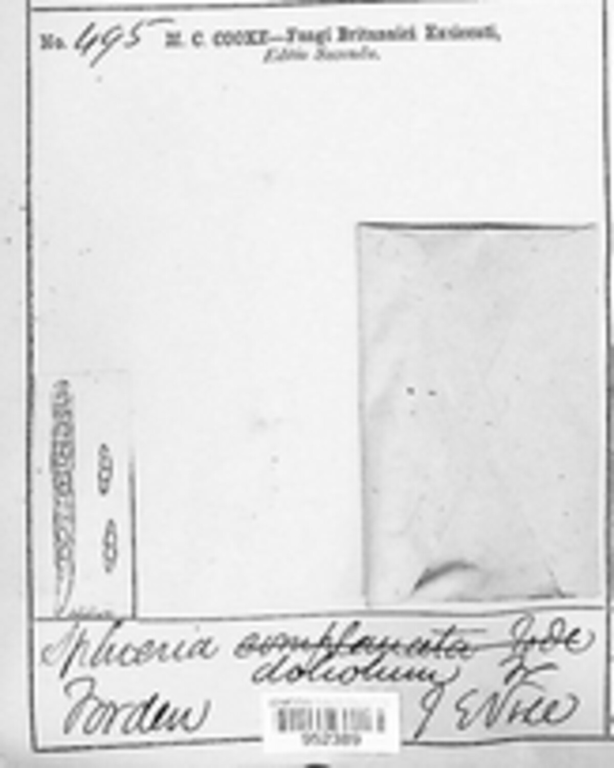 Leptosphaeria doliolum image